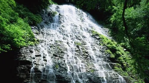 全自动高端