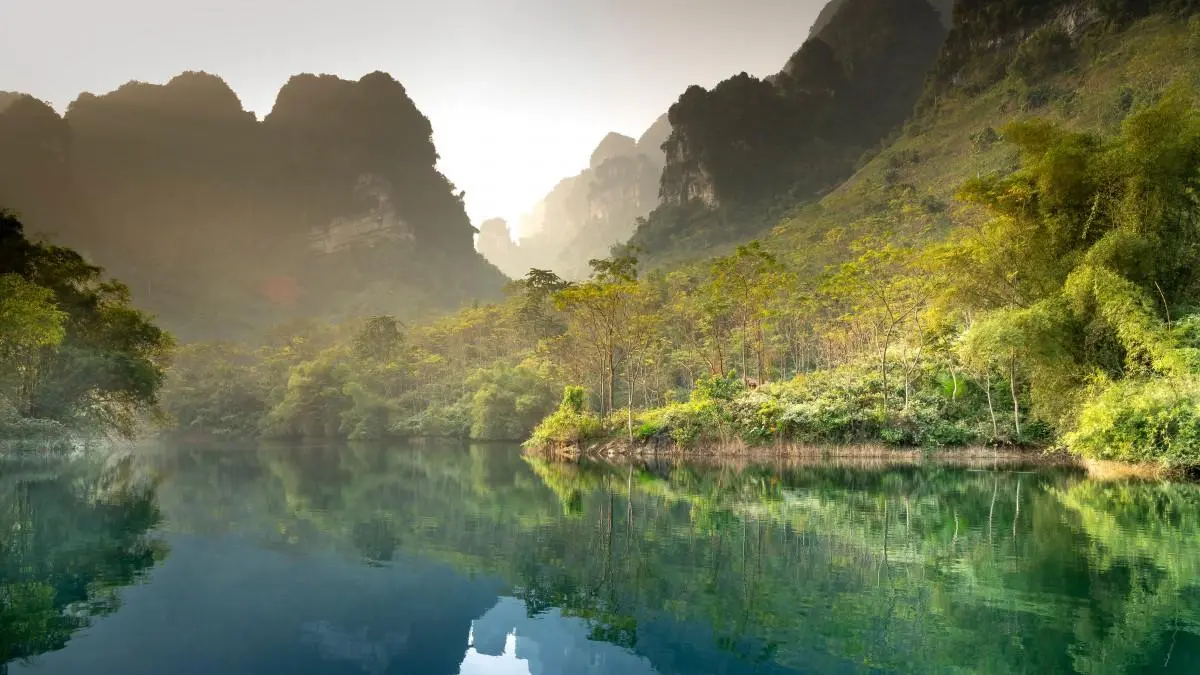 高效高质量